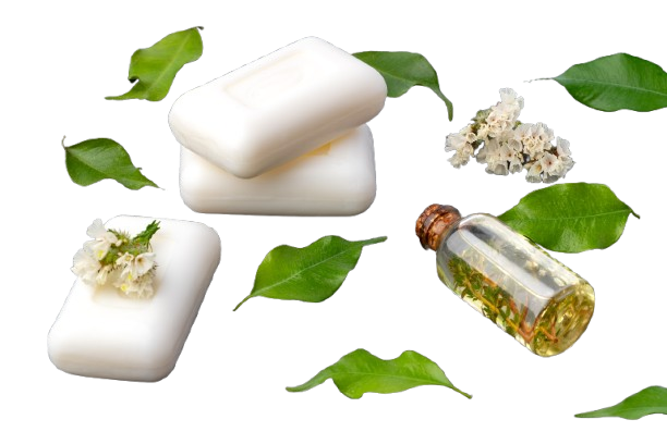 NEEM PUDINA TULSI LEMON SOAP