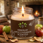 apple cinnamon candle