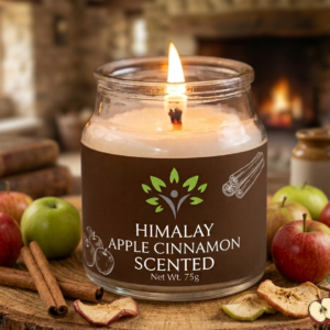 apple cinnamon candle