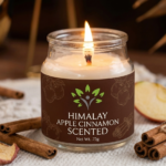 apple cinnamon candle